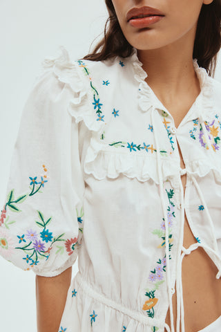 willa embroidered blouse, alemais, tie up top, puff sleeves, dressy top, evening wear, high neck top, floral top